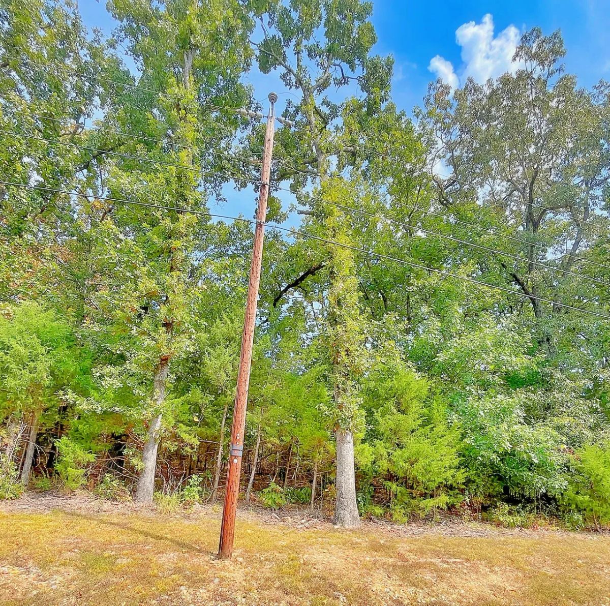 Decorative background for Enjoy the Simple Life – Walk to Downtown Horseshoe Bend from Your Own 0.33 Acres! image 5