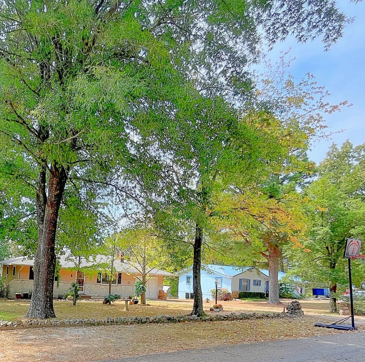 Decorative background for Enjoy the Simple Life – Walk to Downtown Horseshoe Bend from Your Own 0.33 Acres! image 7