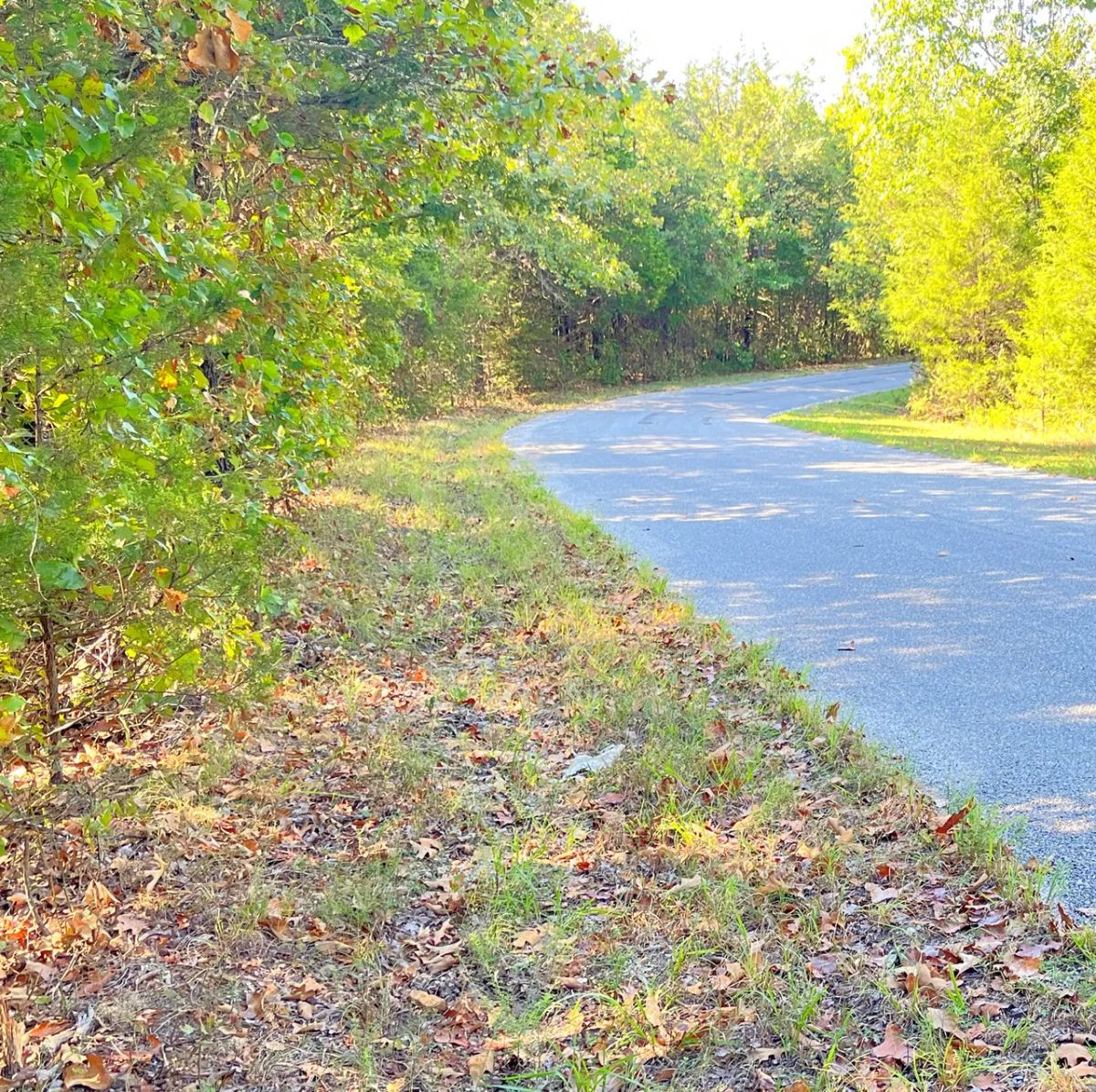 Decorative background for The Closest Point Between Crown Lake and Diamond Lake image 5