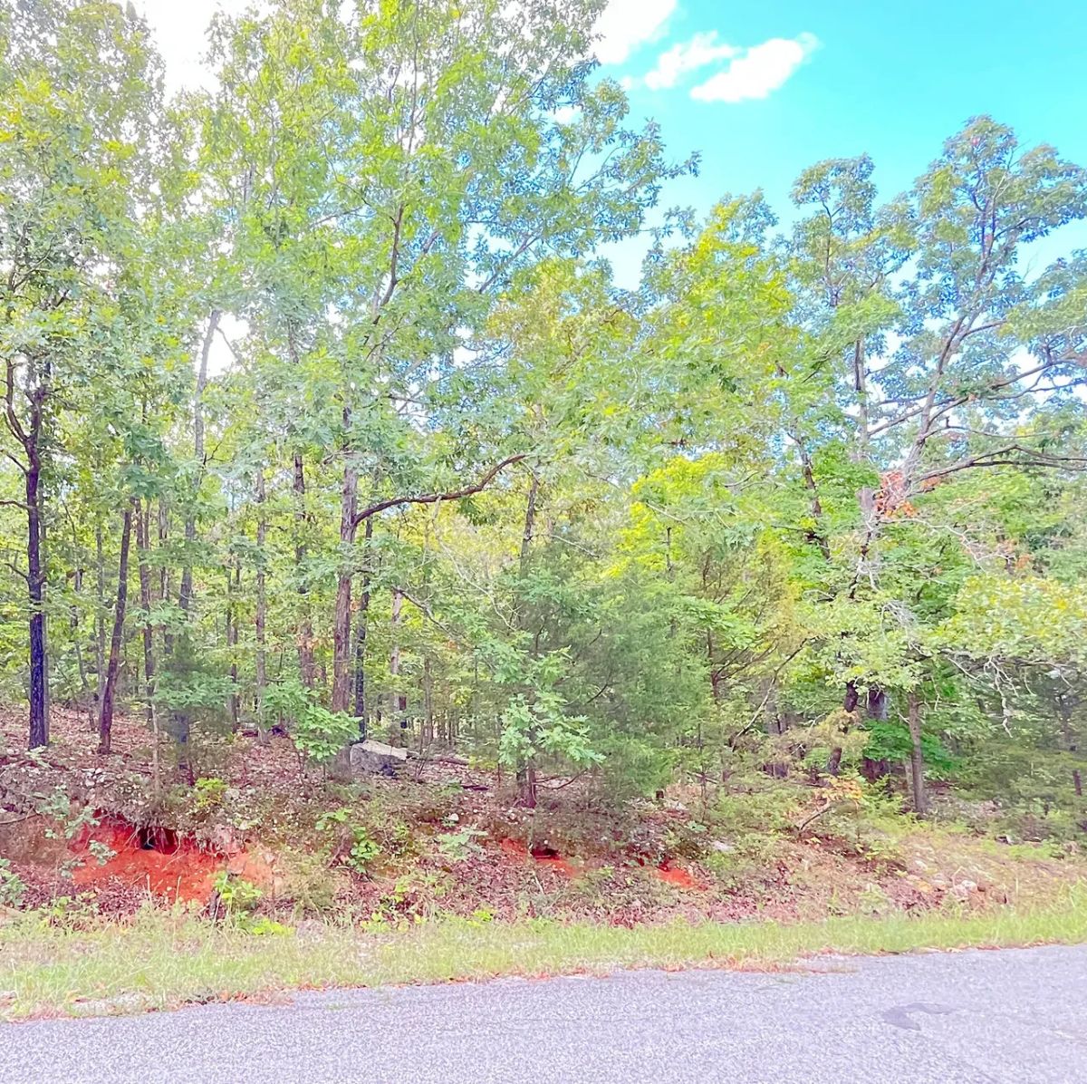 Decorative background for Lake Life Down The Street - Expandable To 0.69 Acres image 6