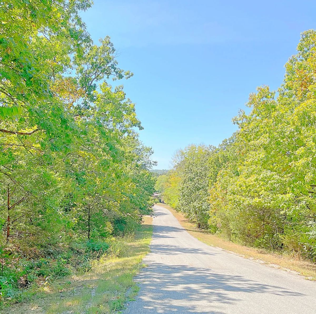 Decorative background for Lake Life Down The Street - Expandable To 0.69 Acres image 7