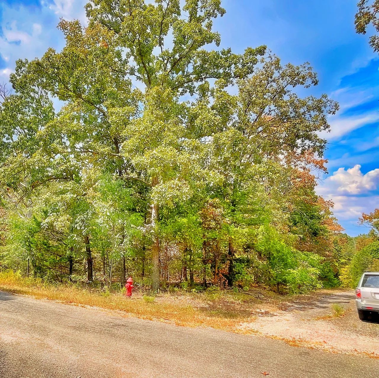 Affordable Living in a Community That Feels Like Home
