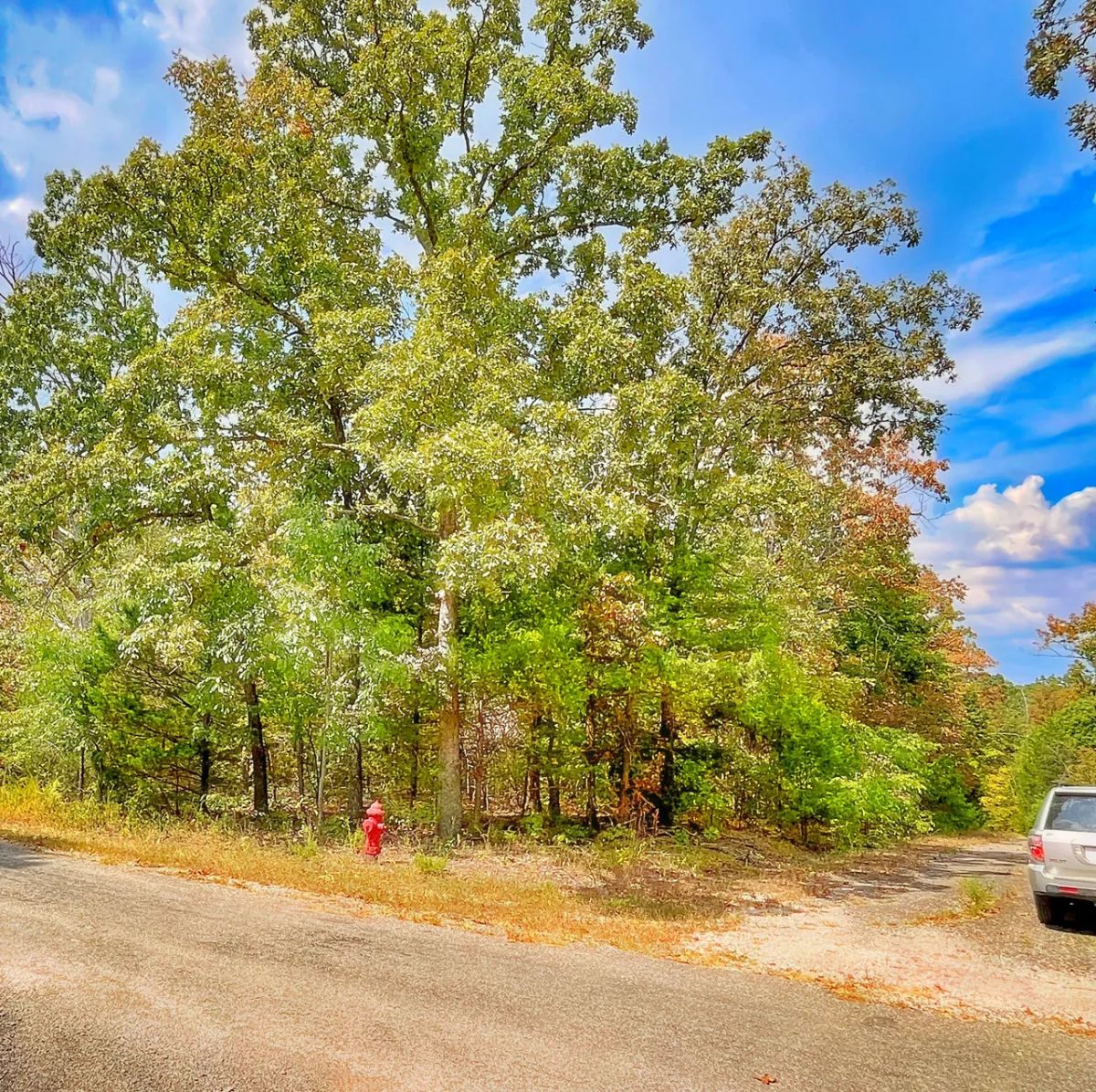 Affordable Living in a Community That Feels Like Home - Main image