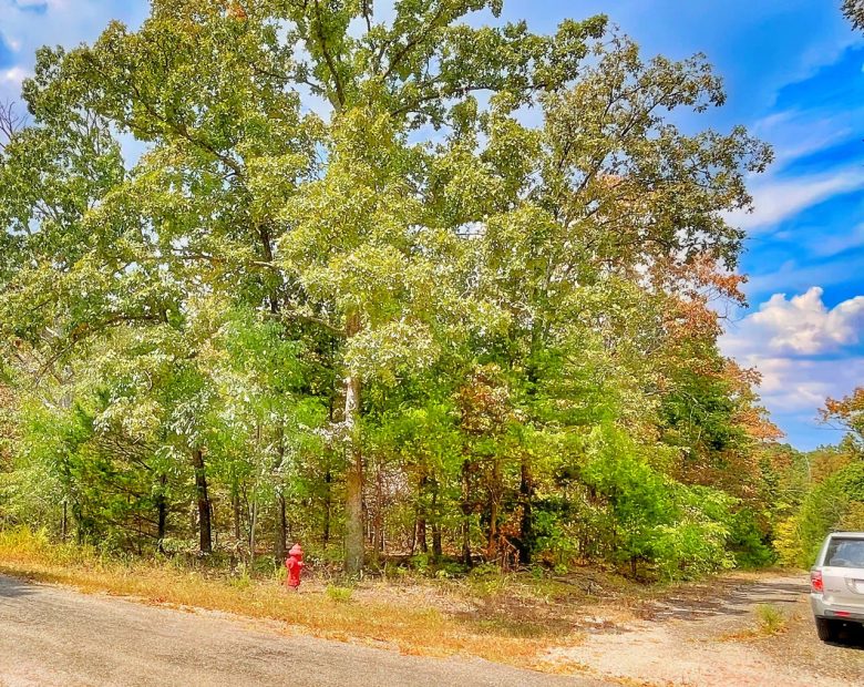 Affordable Living in a Community That Feels Like Home in Izard County, AR