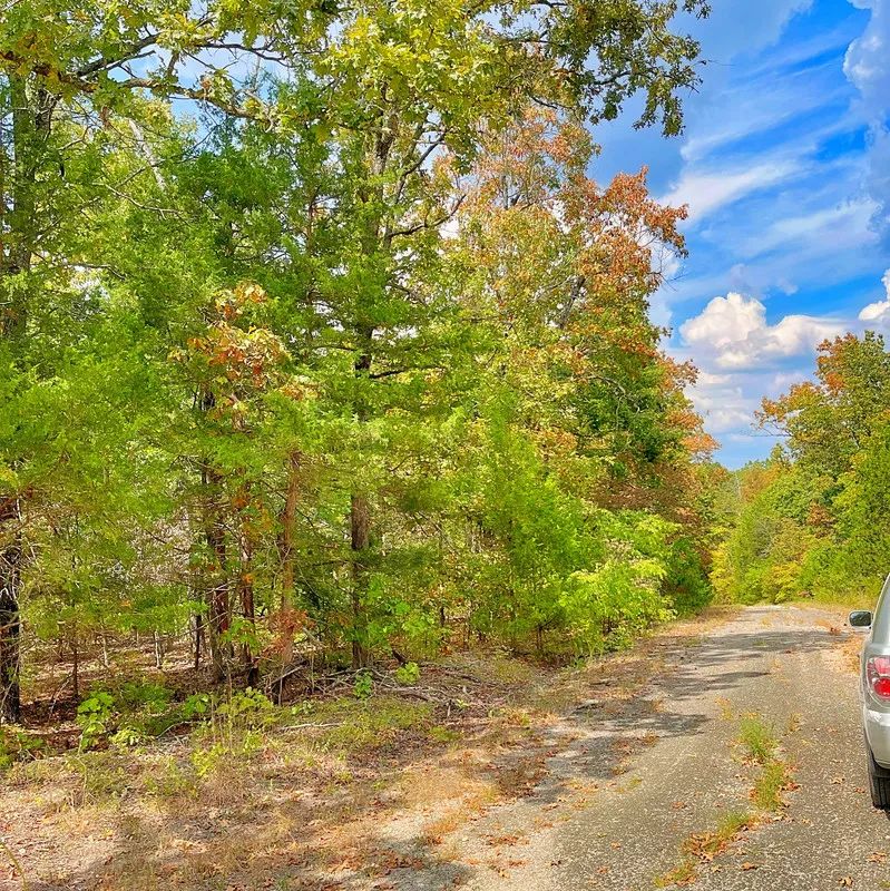 Affordable Living in a Community That Feels Like Home in Izard County, AR