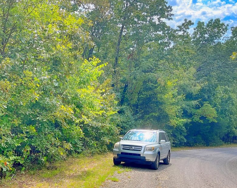 0.51 Acre Investment Opportunity Near Crown Lake! in Izard County, AR