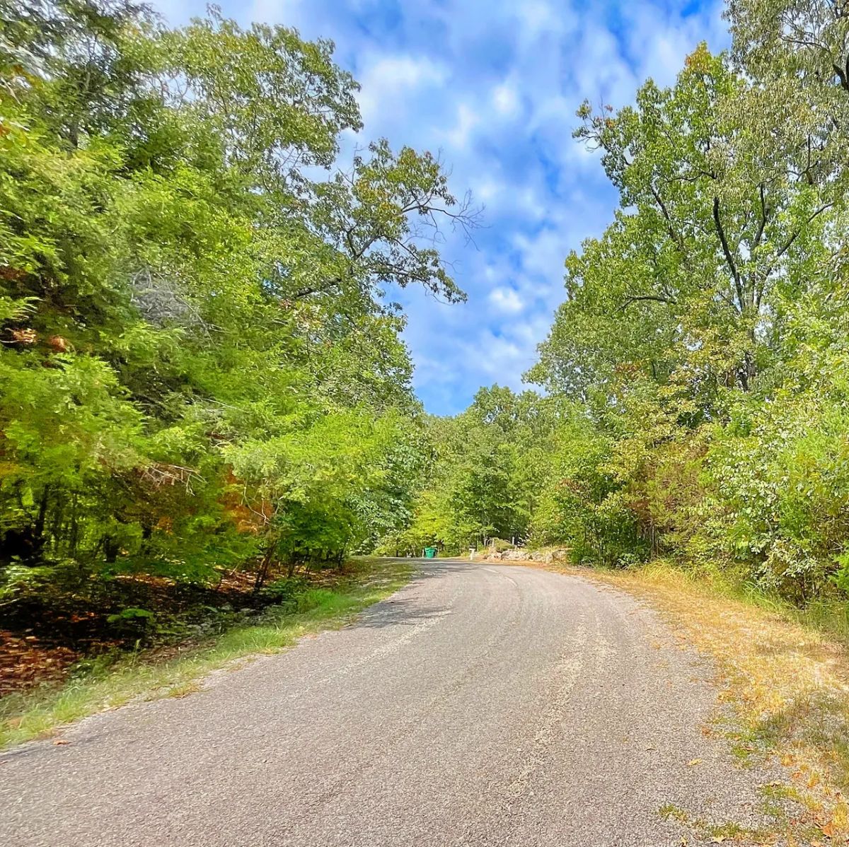 0.51 Acre Investment Opportunity Near Crown Lake! - Image 2