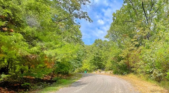 0.51 Acre Investment Opportunity Near Crown Lake! in Izard County, AR