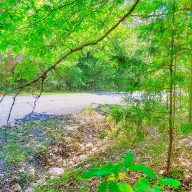 0.51 Acre Investment Opportunity Near Crown Lake! in Izard County, AR