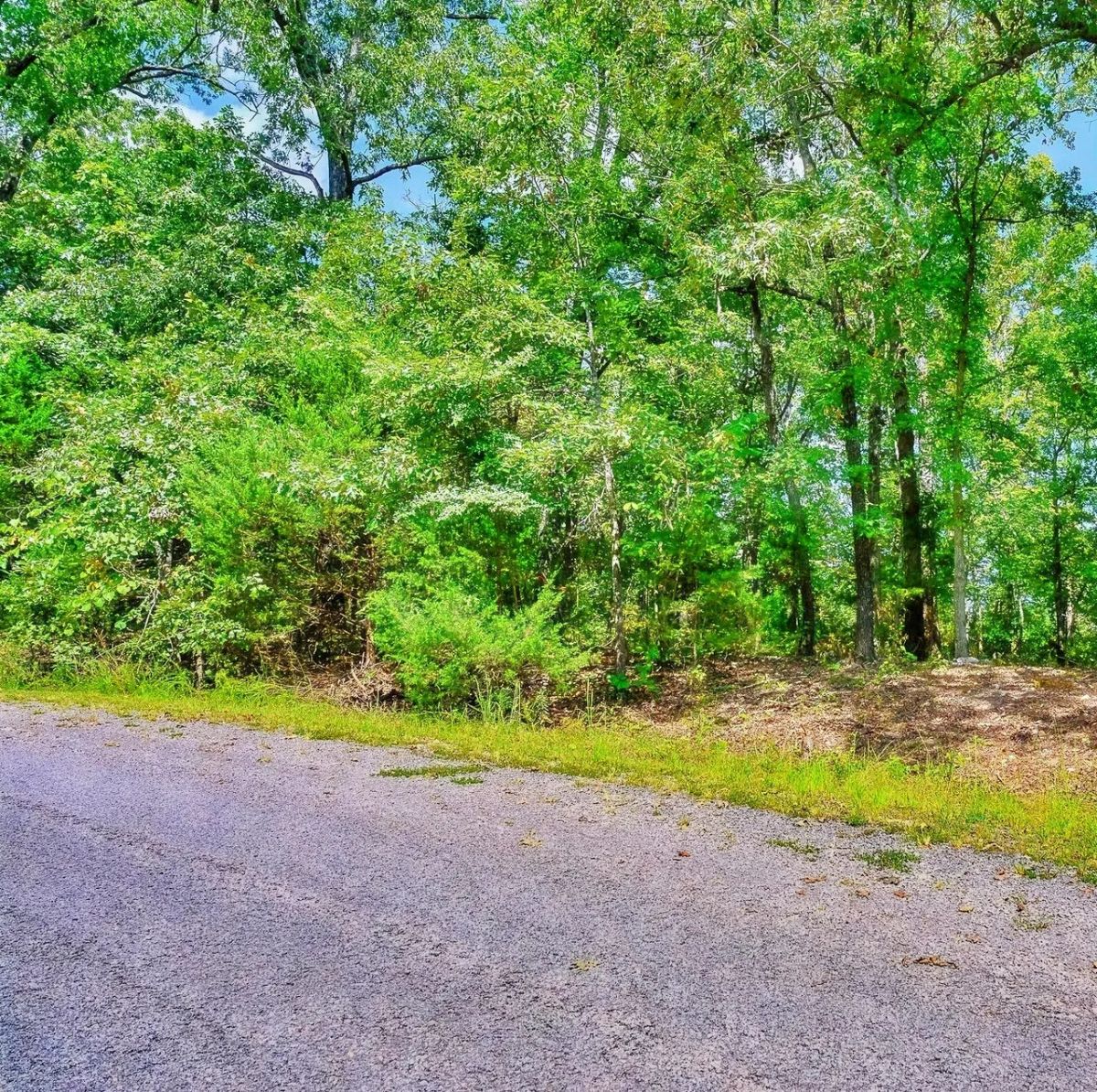0.51 Acre Investment Opportunity Near Crown Lake! - Image 4