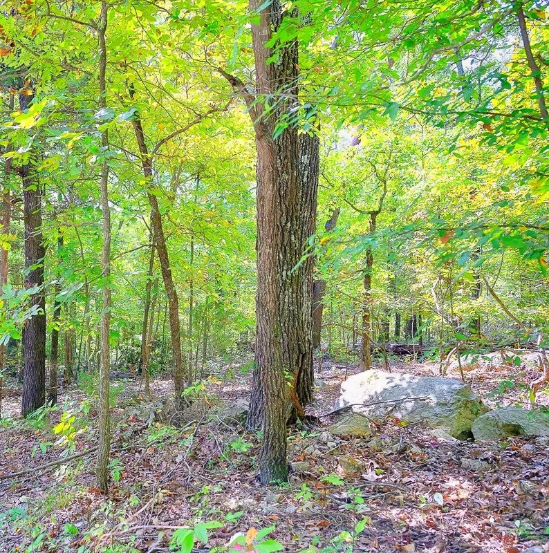 Decorative background for 0.51 Acre Investment Opportunity Near Crown Lake! image 6