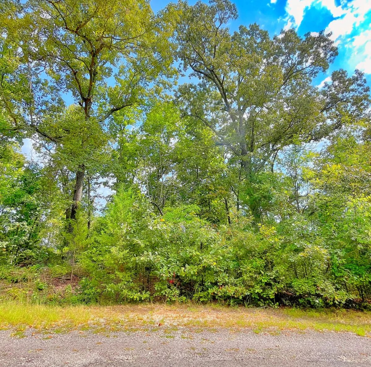 Decorative background for 0.51 Acre Investment Opportunity Near Crown Lake! image 7