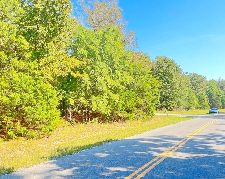 Lake Days Made Easy – Own Land Just 0.3 Mile from the Marina & Beach! in Izard County, AR