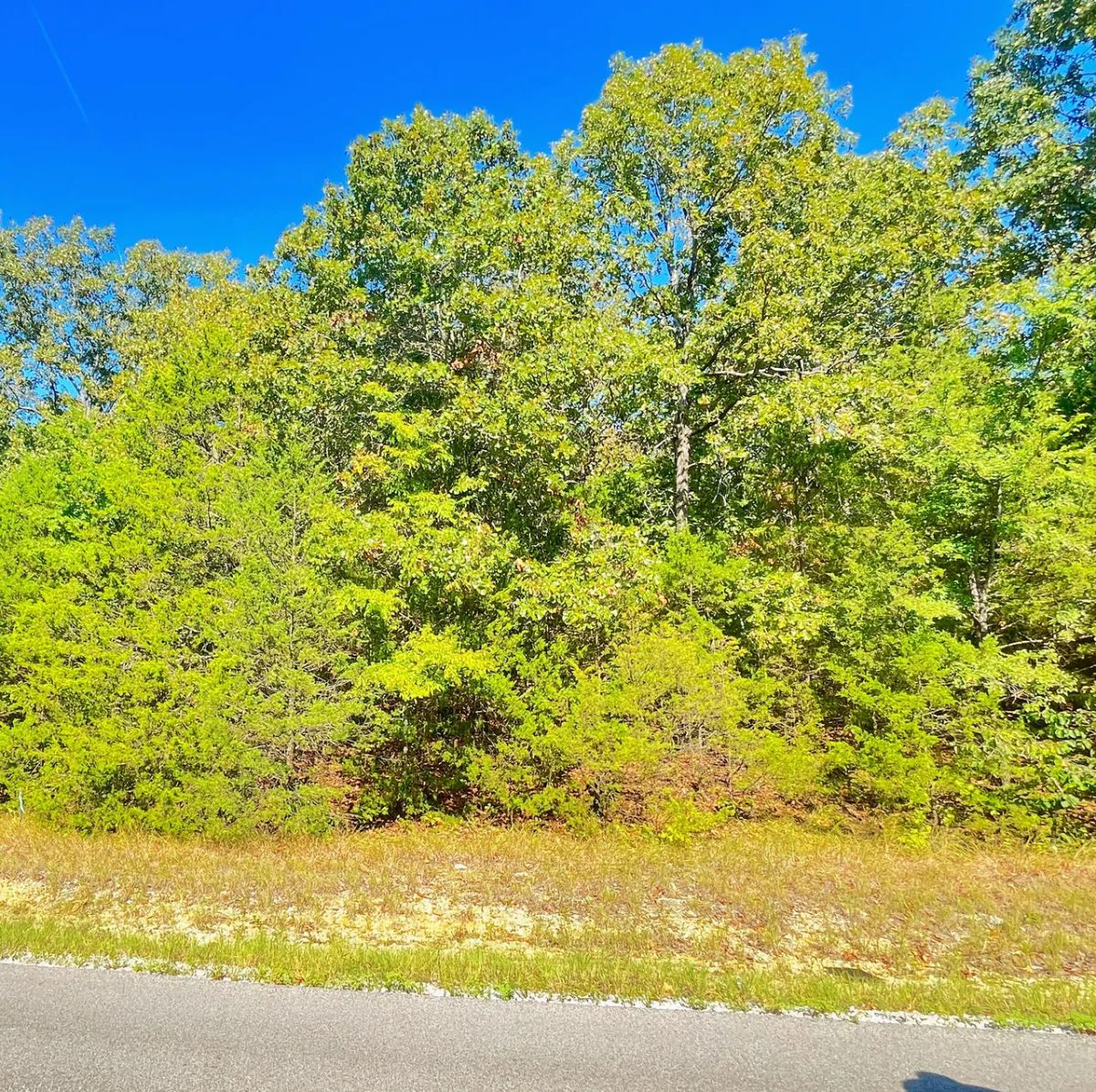 Lake Days Made Easy – Own Land Just 0.3 Mile from the Marina & Beach! - Image 2