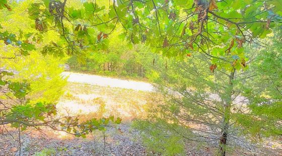 A Simpler Life, Just Minutes from Diamond Lake Boat Launch in Izard County, AR