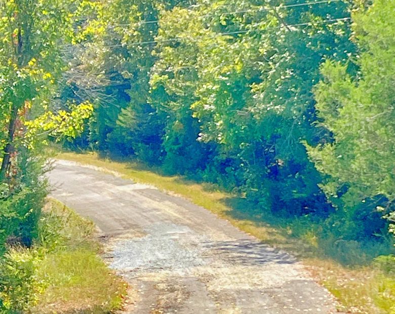Secure Your Dream Property in Horseshoe Bend, AR in Izard County, AR