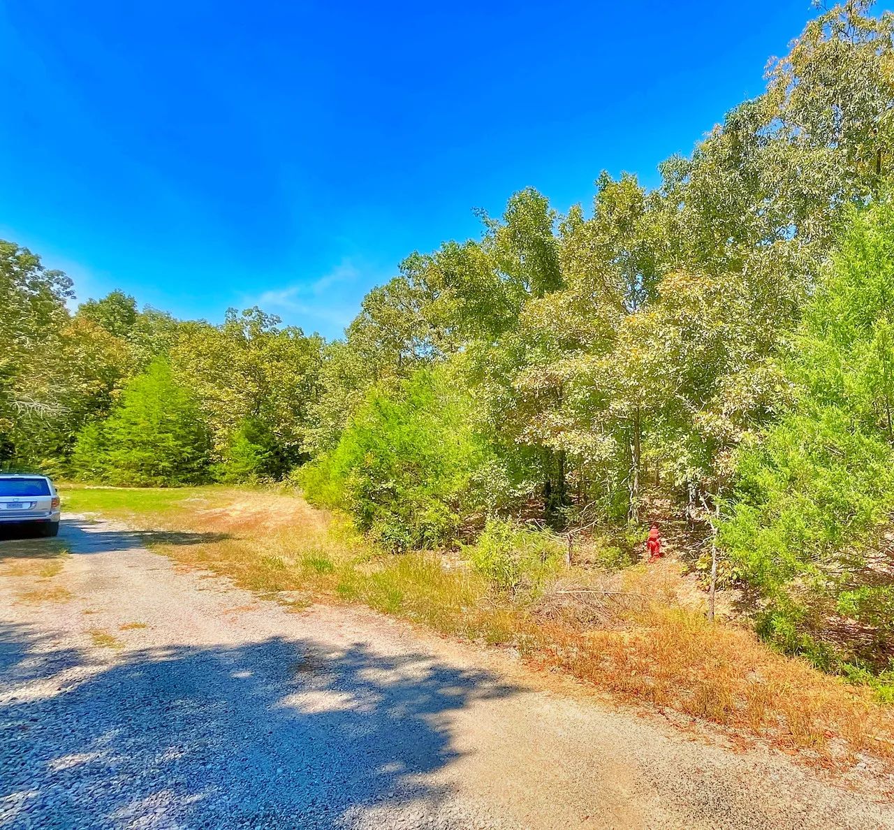 Secure Your Dream Property in Horseshoe Bend, AR in Izard County, AR