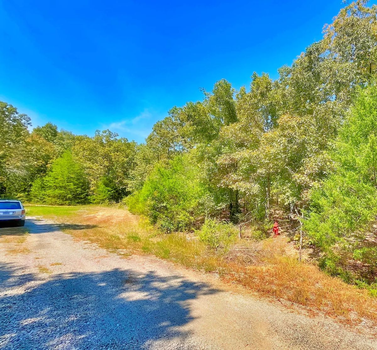 Secure Your Dream Property in Horseshoe Bend, AR - Image 2
