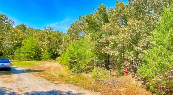 Secure Your Dream Property in Horseshoe Bend, AR in Izard County, AR