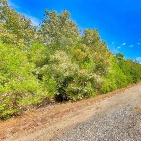 Secure Your Dream Property in Horseshoe Bend, AR in Izard County, AR