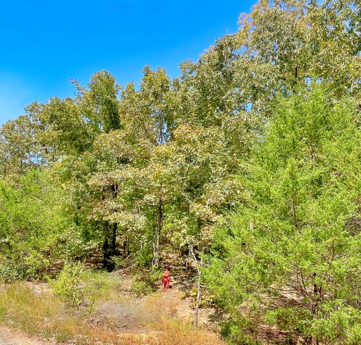 Secure Your Dream Property in Horseshoe Bend, AR - Image 4
