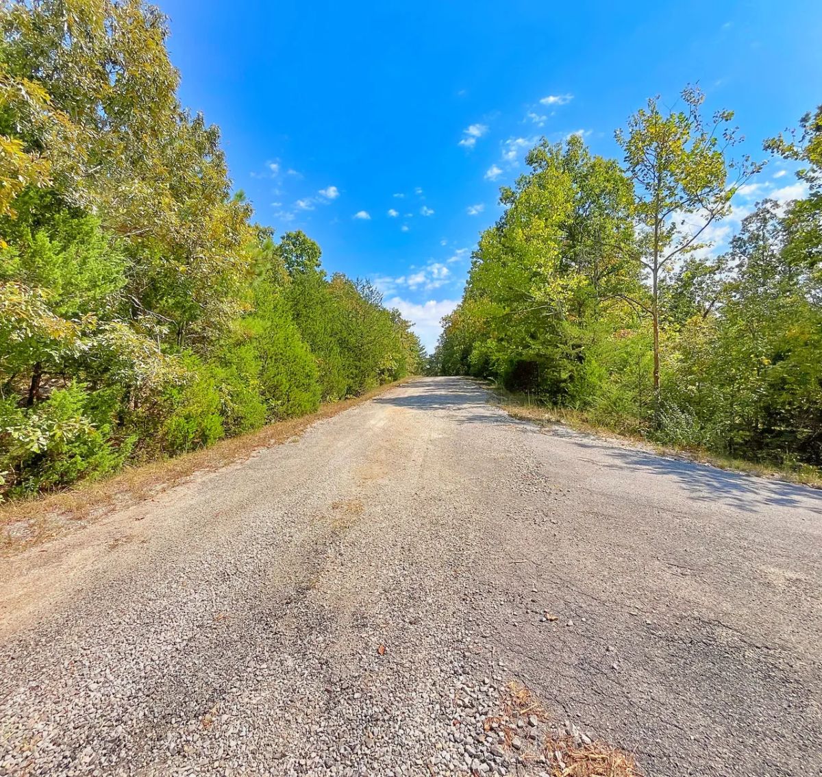 Decorative background for Secure Your Dream Property in Horseshoe Bend, AR image 7