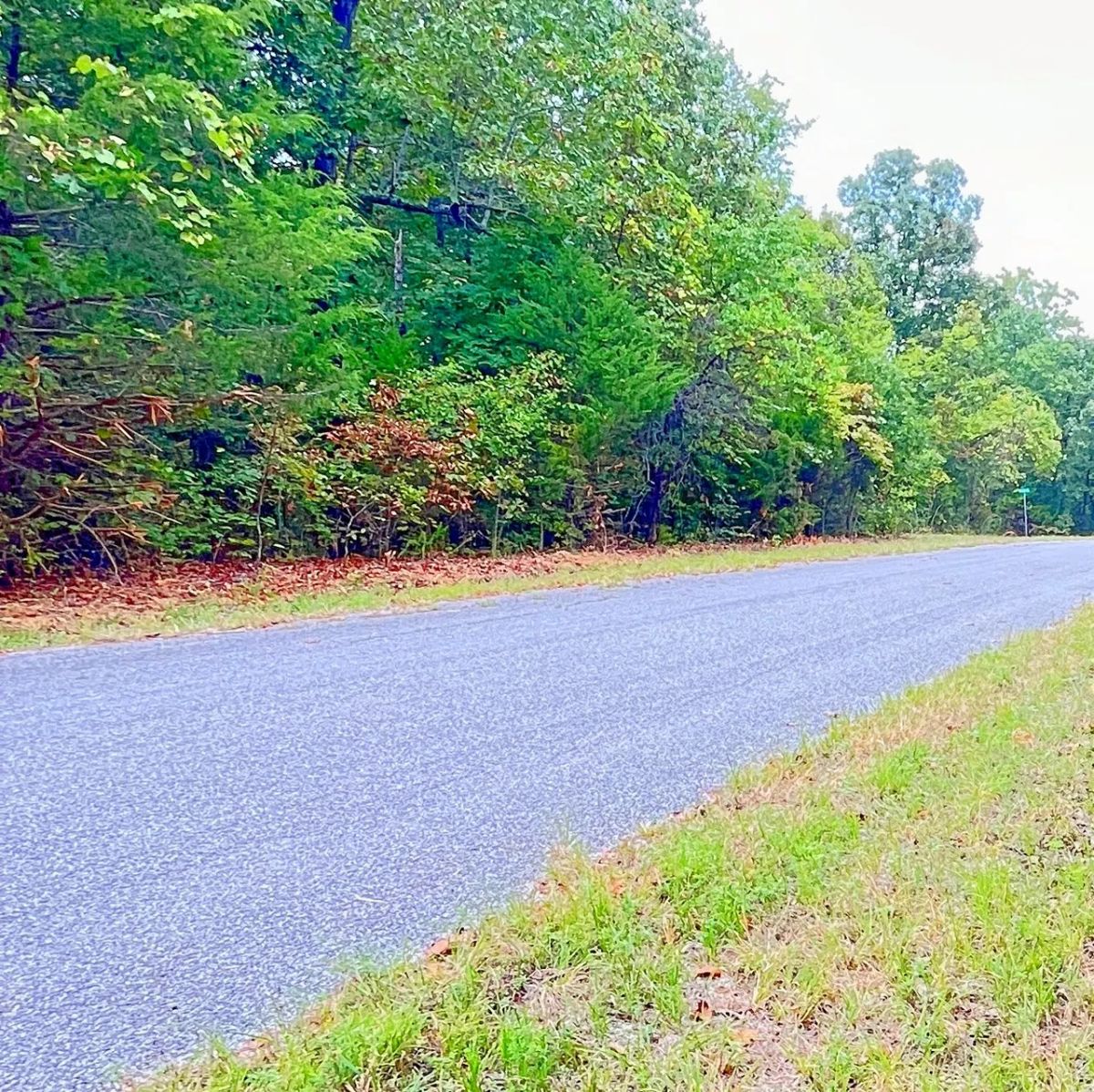 A Simpler Life, Close to the Lakes - Your Ozark Retirement Near the Pier - Main image