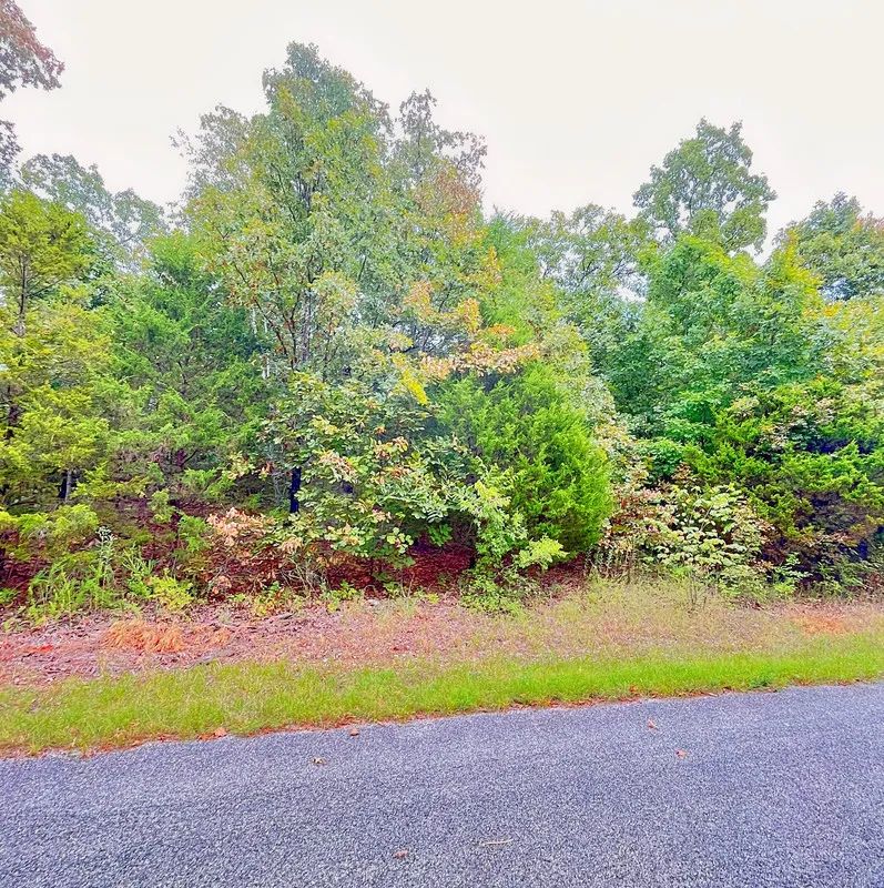 A Simpler Life, Close to the Lakes - Your Ozark Retirement Near the Pier - Image 2