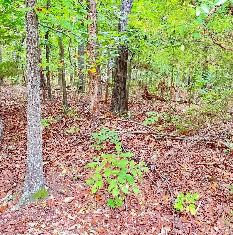 A Simpler Life, Close to the Lakes - Your Ozark Retirement Near the Pier - Image 4