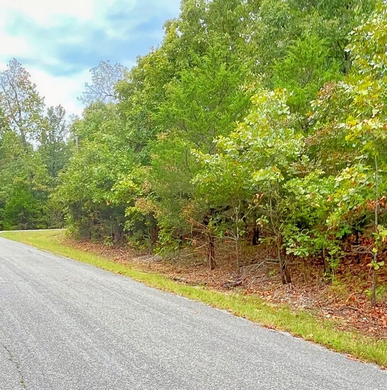 Decorative background for A Simpler Life, Close to the Lakes - Your Ozark Retirement Near the Pier image 6