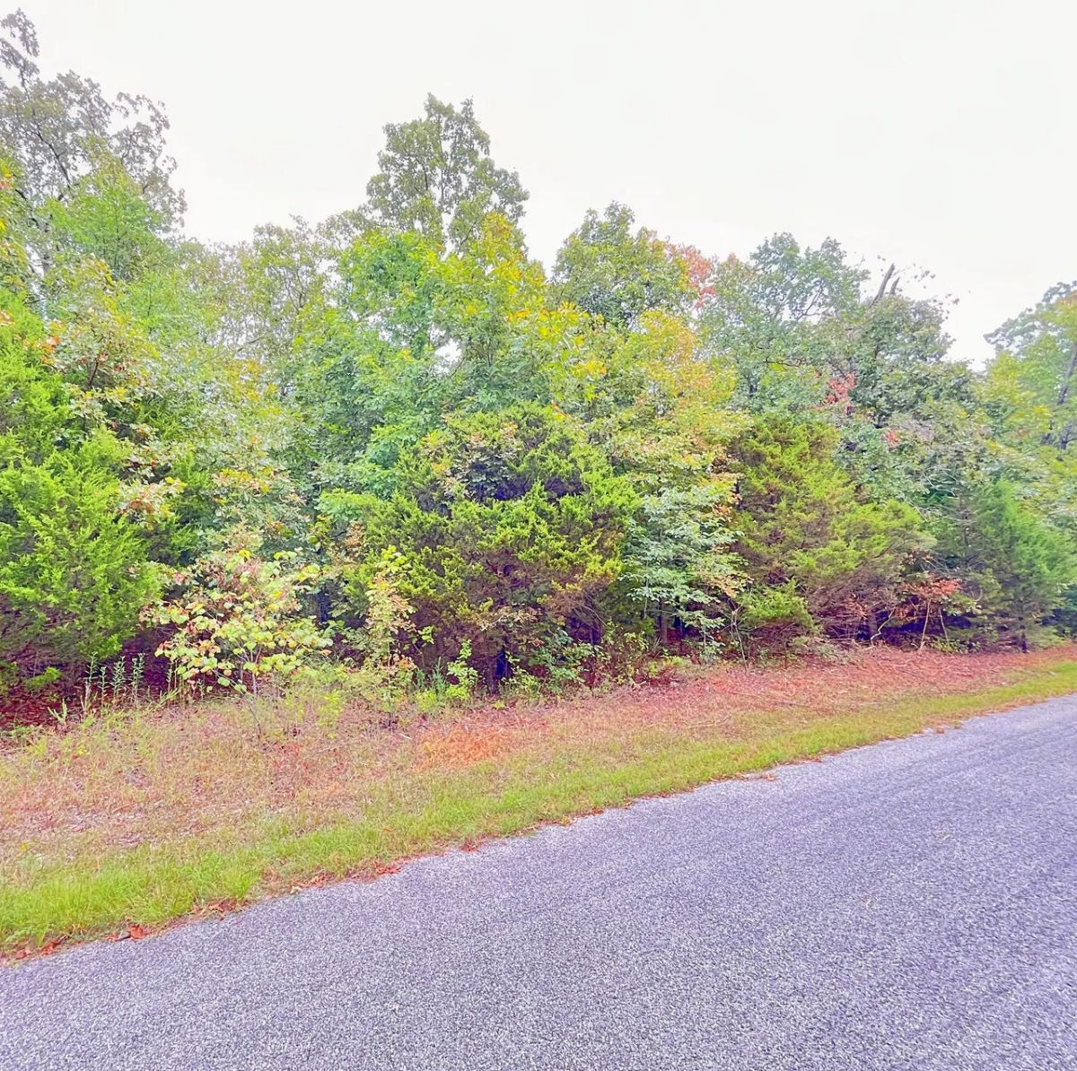 Decorative background for A Simpler Life, Close to the Lakes - Your Ozark Retirement Near the Pier image 8