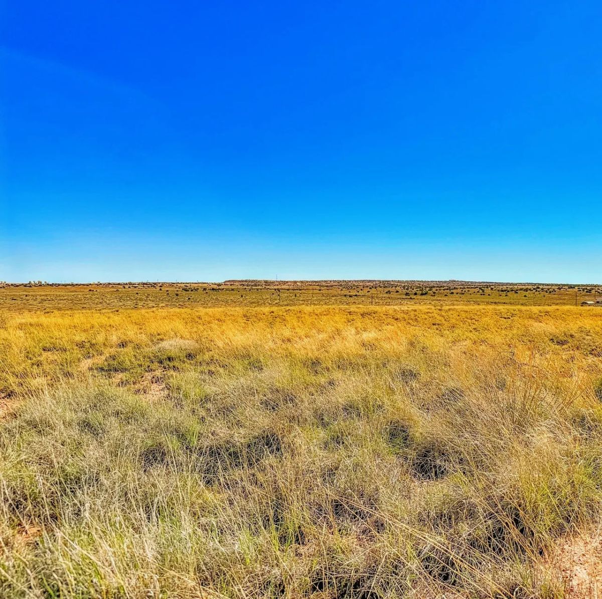 Decorative background for Discover Your Arizona Freedom with RV Living Approved image 8
