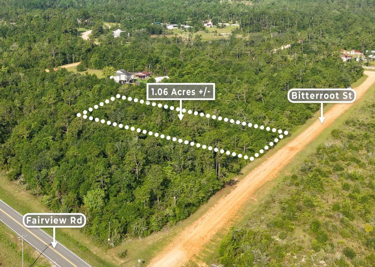 1.06 Wooded Acres in Alford, FL | Near Compass Lake - Image 3