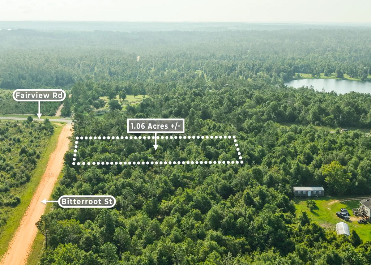 1.06 Wooded Acres in Alford, FL | Near Compass Lake - Image 4