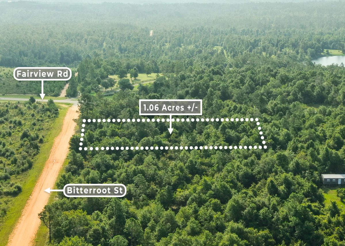 Decorative background for 1.06 Wooded Acres in Alford, FL | Near Compass Lake image 5
