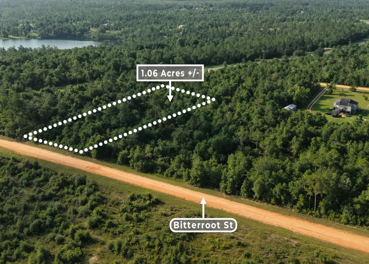 Decorative background for 1.06 Wooded Acres in Alford, FL | Near Compass Lake image 7