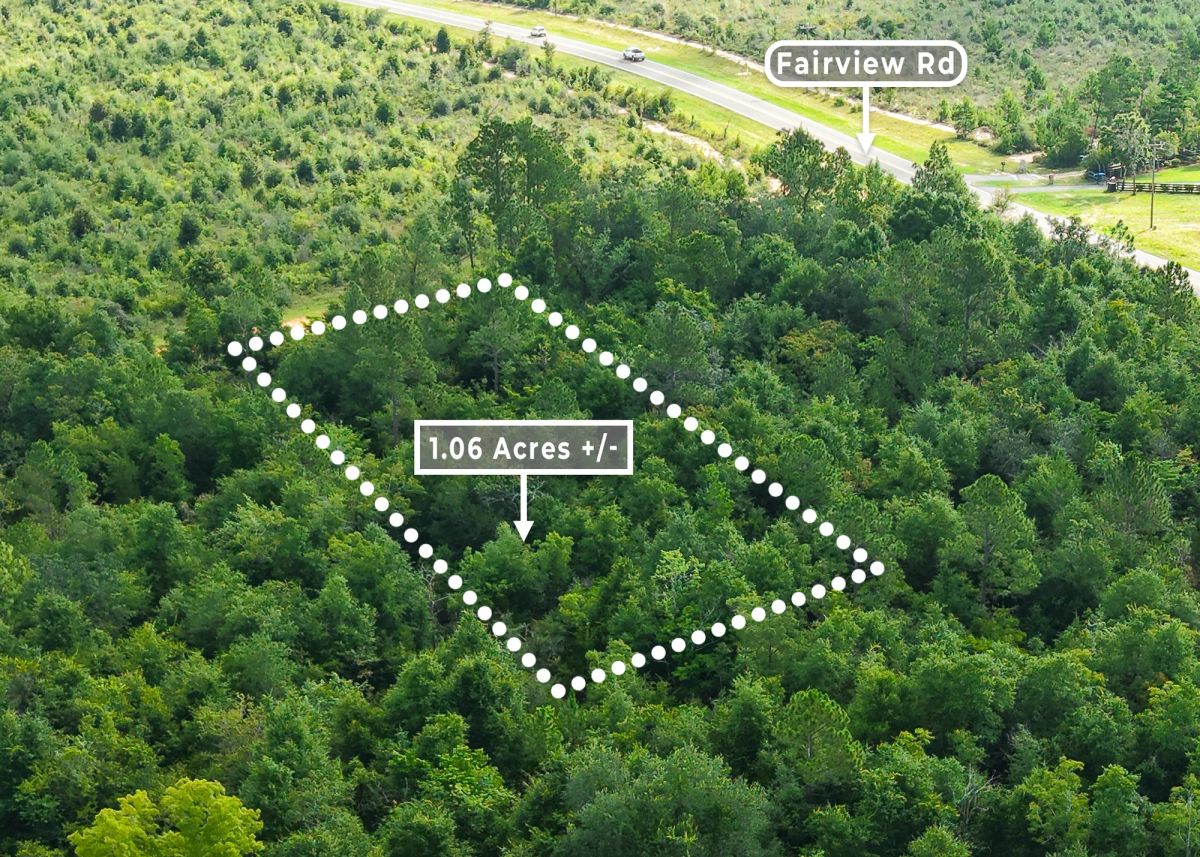 Decorative background for 1.06 Wooded Acres in Alford, FL | Near Compass Lake image 10
