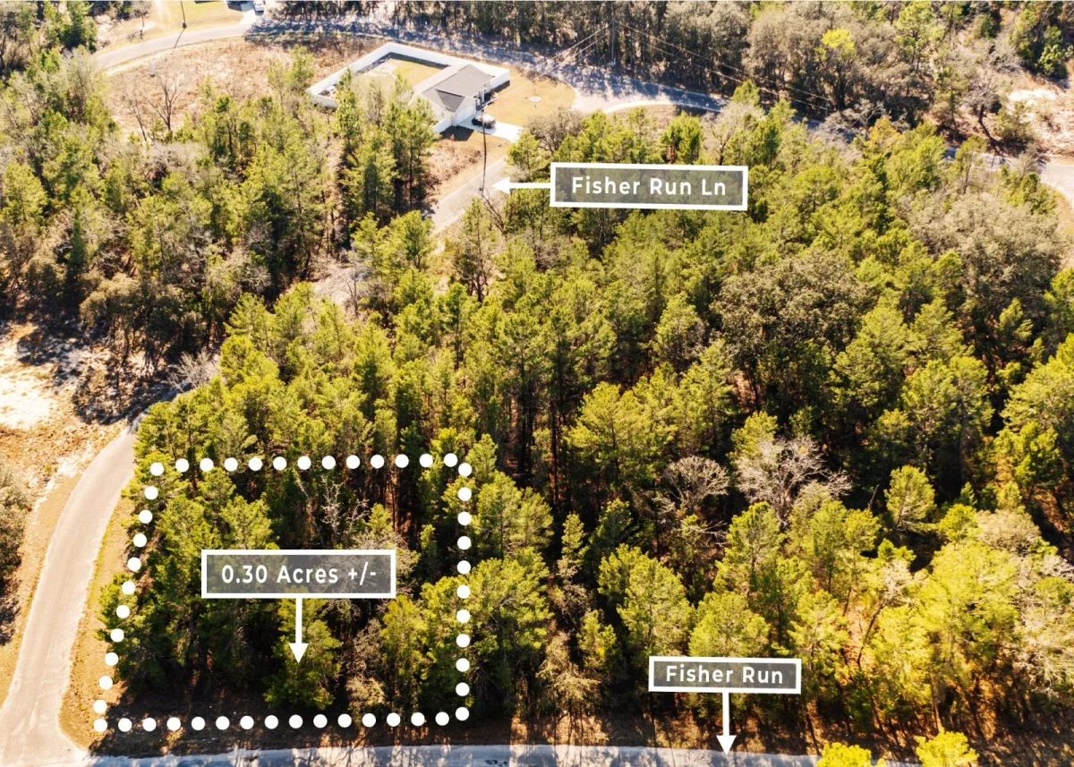 0.30 Acres in Ocklawaha, FL | R1 | No HOA | Owner Finance - Image 2