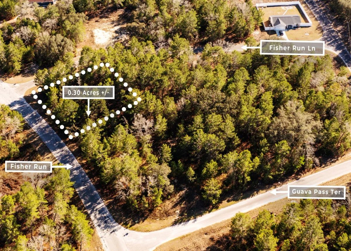 0.30 Acres in Ocklawaha, FL | R1 | No HOA | Owner Finance - Image 3