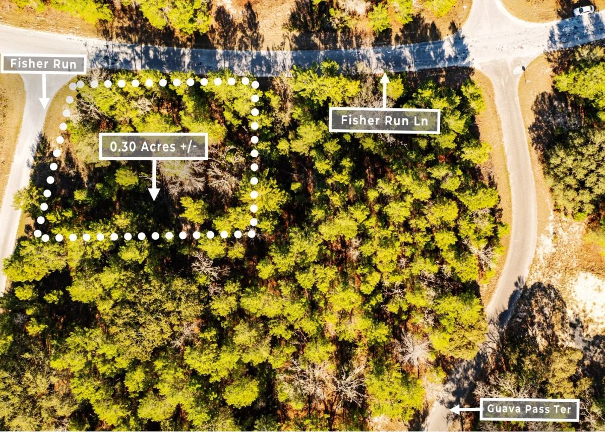 0.30 Acres in Ocklawaha, FL | R1 | No HOA | Owner Finance - Image 4