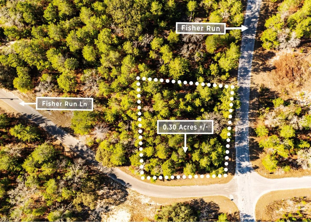 Decorative background for 0.30 Acres in Ocklawaha, FL | R1 | No HOA | Owner Finance image 5
