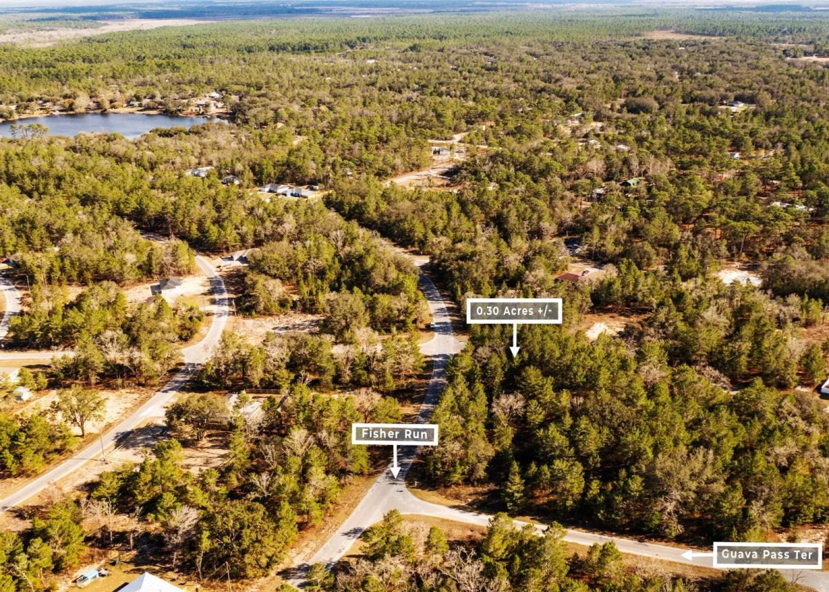 Decorative background for 0.30 Acres in Ocklawaha, FL | R1 | No HOA | Owner Finance image 6