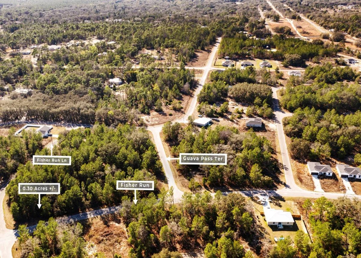 Decorative background for 0.30 Acres in Ocklawaha, FL | R1 | No HOA | Owner Finance image 7