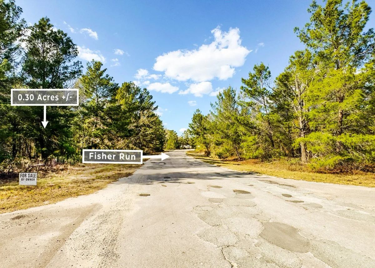 Decorative background for 0.30 Acres in Ocklawaha, FL | R1 | No HOA | Owner Finance image 8