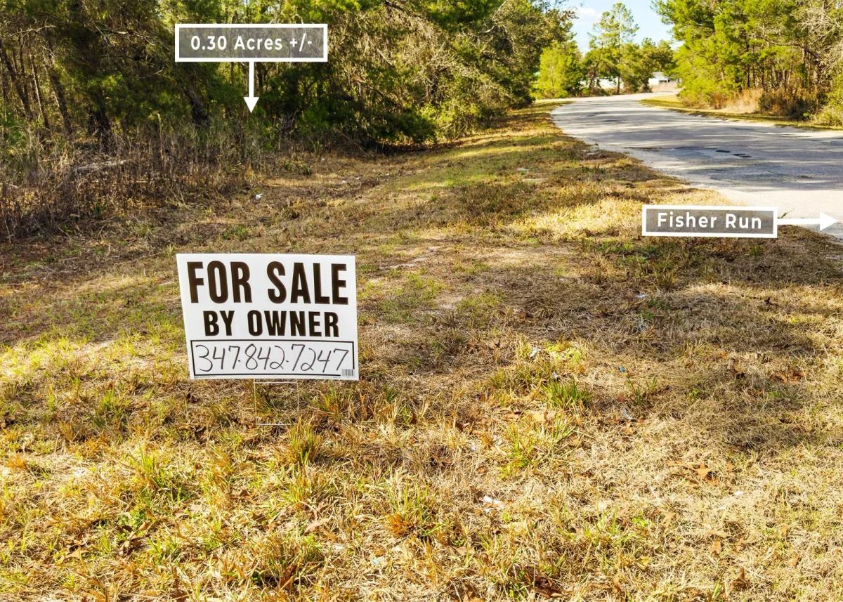 Decorative background for 0.30 Acres in Ocklawaha, FL | R1 | No HOA | Owner Finance image 9