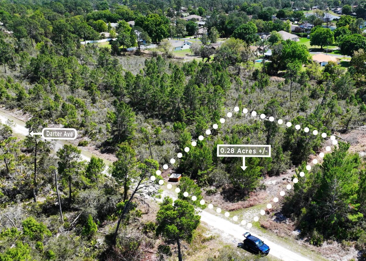 0.28 Acre in Sebring, FL | Power at Street | R-1 | No HOA - Image 2