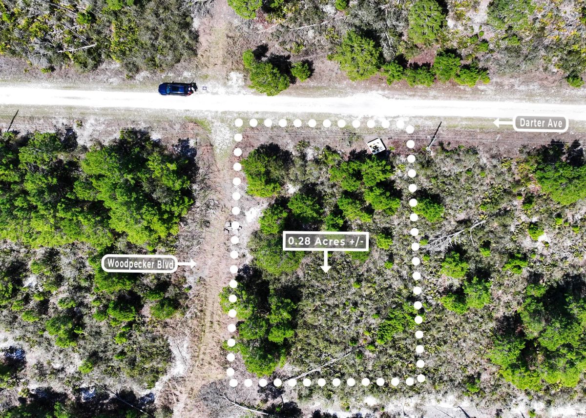 0.28 Acre in Sebring, FL | Power at Street | R-1 | No HOA - Image 4