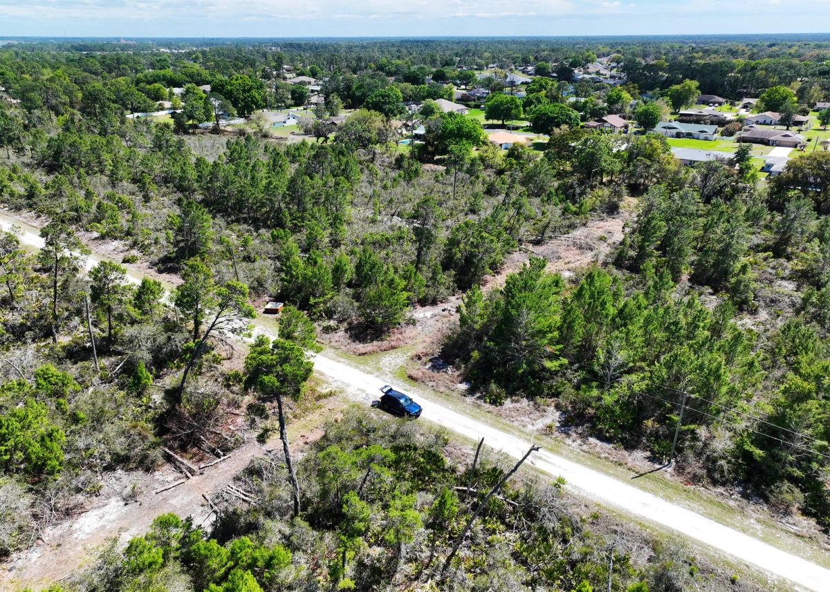Decorative background for 0.28 Acre in Sebring, FL | Power at Street | R-1 | No HOA image 7