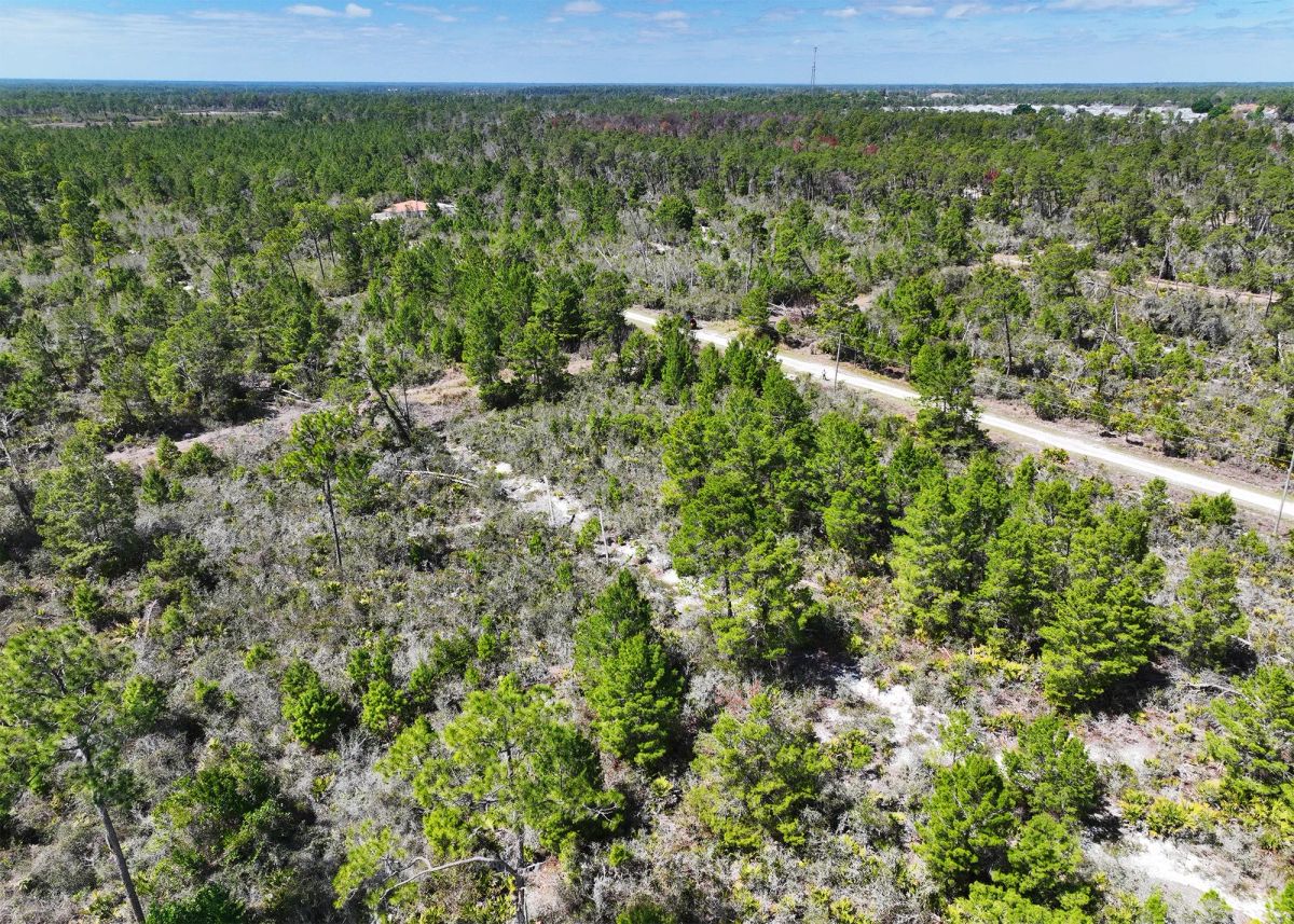 Decorative background for 0.28 Acre in Sebring, FL | Power at Street | R-1 | No HOA image 9