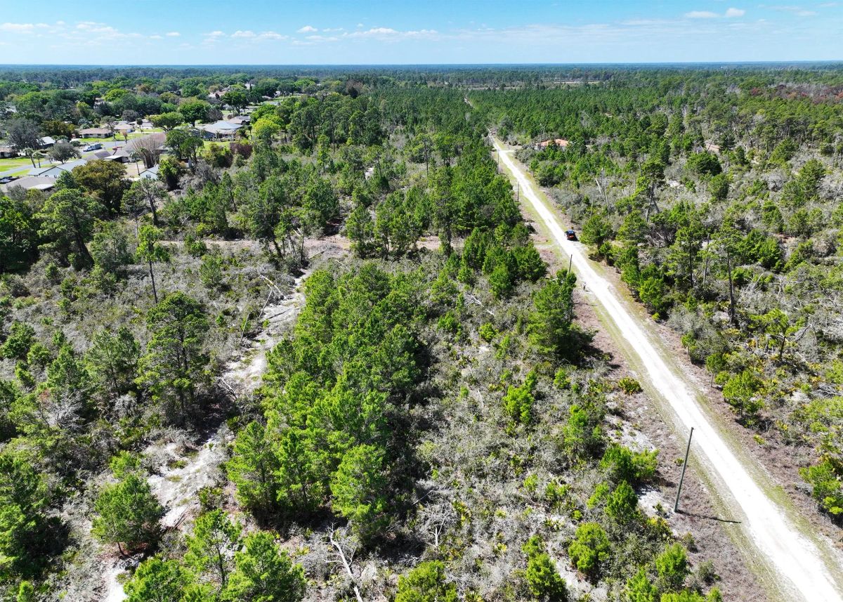 Decorative background for 0.28 Acre in Sebring, FL | Power at Street | R-1 | No HOA image 10